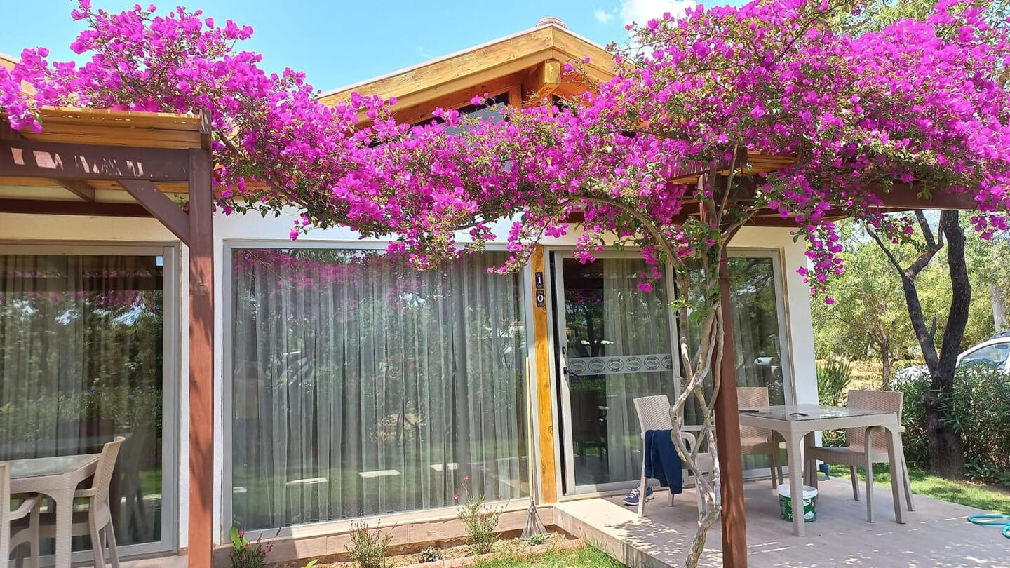 Anılarınızın Ev Sahibi Denizin kıyısında , doğanın kalbinde... Menekşe Apart, Datça / Palamutbükü'nün doğası ve denizi ile iç içe, sıcak ve samimi bir ortam sunar. Burada sadece konaklamak değil, unutulmaz anılar biriktirmek de mümkün. Her misafirimiz, kendi hikayesini yazarken biz de ev sahipliği yapmaktan gurur duyu