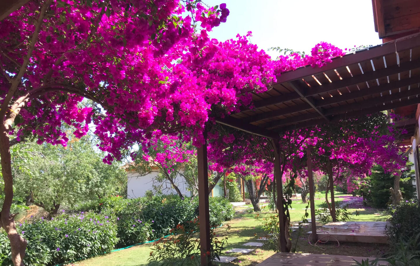 MENEKŞE APART : Anılarınızın Ev Sahibi Denizin kıyısında , doğanın kalbinde... Menekşe Apart, Datça / Palamutbükü'nün doğası ve denizi ile iç içe, sıcak ve samimi bir ortam sunar. Burada sadece konaklamak değil, unutulmaz anılar biriktirmek de mümkün. Her misafirimiz, kendi hikayesini yazarken biz de ev sahipliği yapmaktan gurur duyu